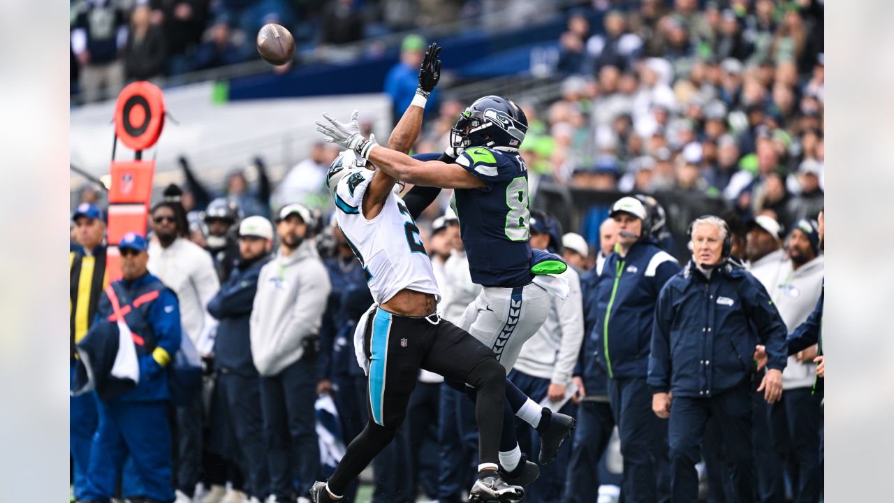 Seahawks vs. Panthers Week 14: News, injury updates, odds, previews, recap  - Field Gulls