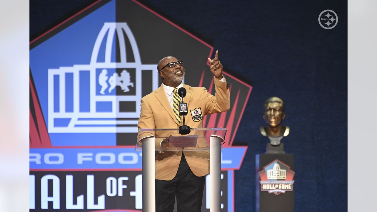 Donnie Shell: Here's what I think about being in the Hall of Fame - Talk Of  Fame