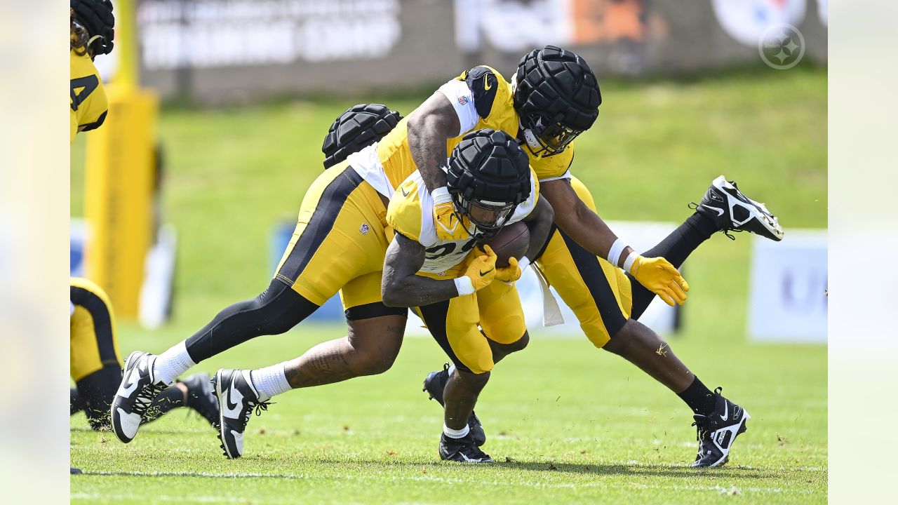 DeMarvin Leal Believes Steelers Defensive Line Is Unbelievable If Healthy  - video Dailymotion