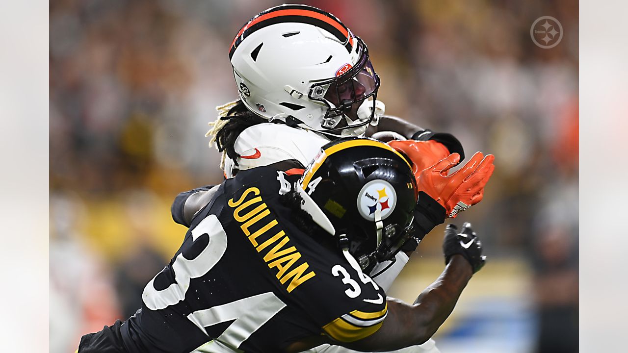 Cleveland Browns vs. Pittsburgh Steelers - 2nd Quarter Game Thread - Dawgs  By Nature