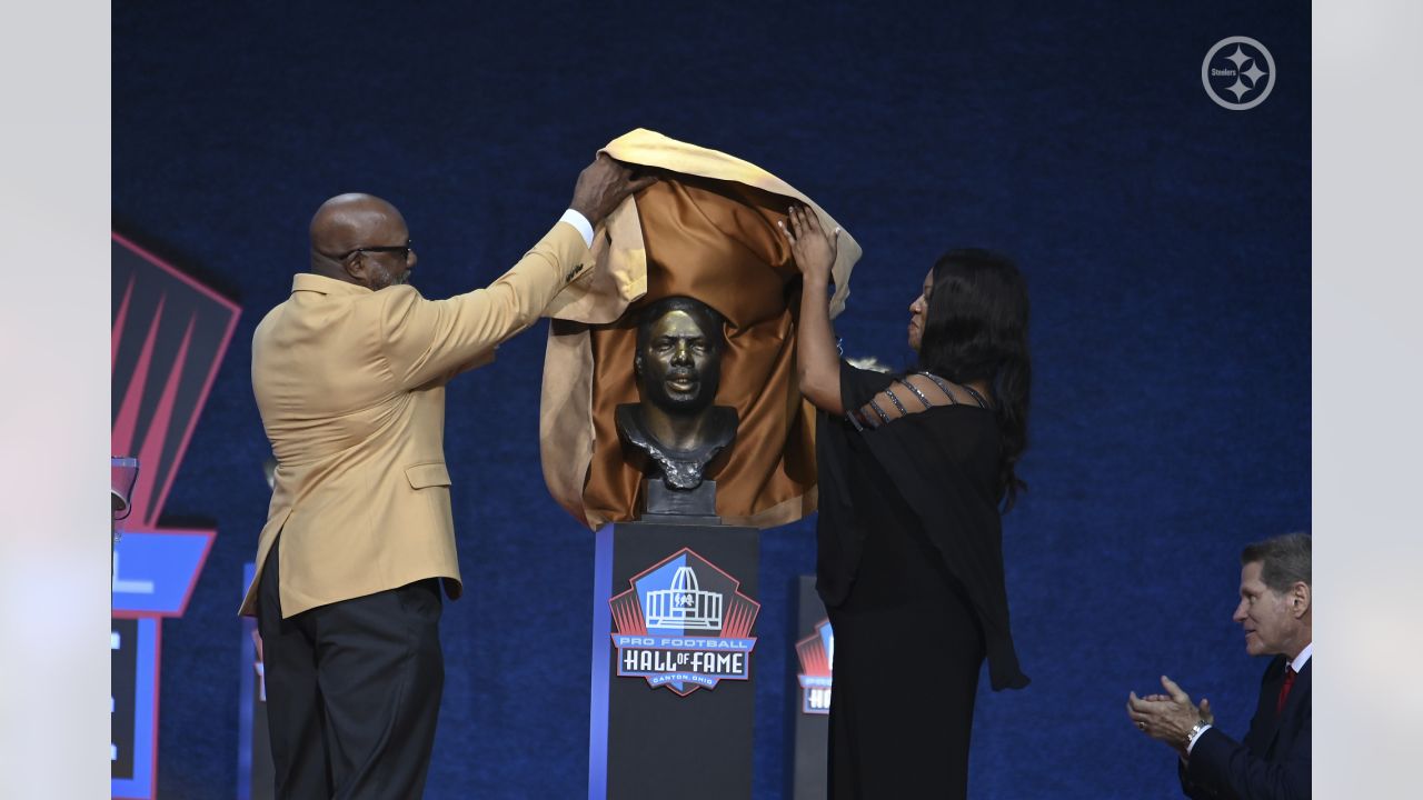 BLACK COLLEGE FOOTBALL HALL OF FAME CLASS OF 2015 ENSHRINEMENT VIDEO: DONNIE  SHELL 