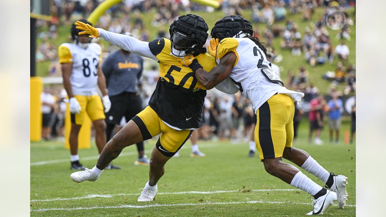 Pittsburgh Steelers helmets on the field at their NFL football training camp  in Latrobe, Pa., Saturday, Aug. 1, 2009. (AP Photo/Keith Srakocic Stock  Photo - Alamy