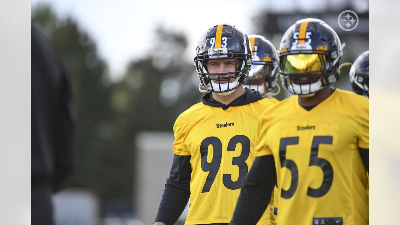 Steelers LB Joe Schobert, others change jersey number changes