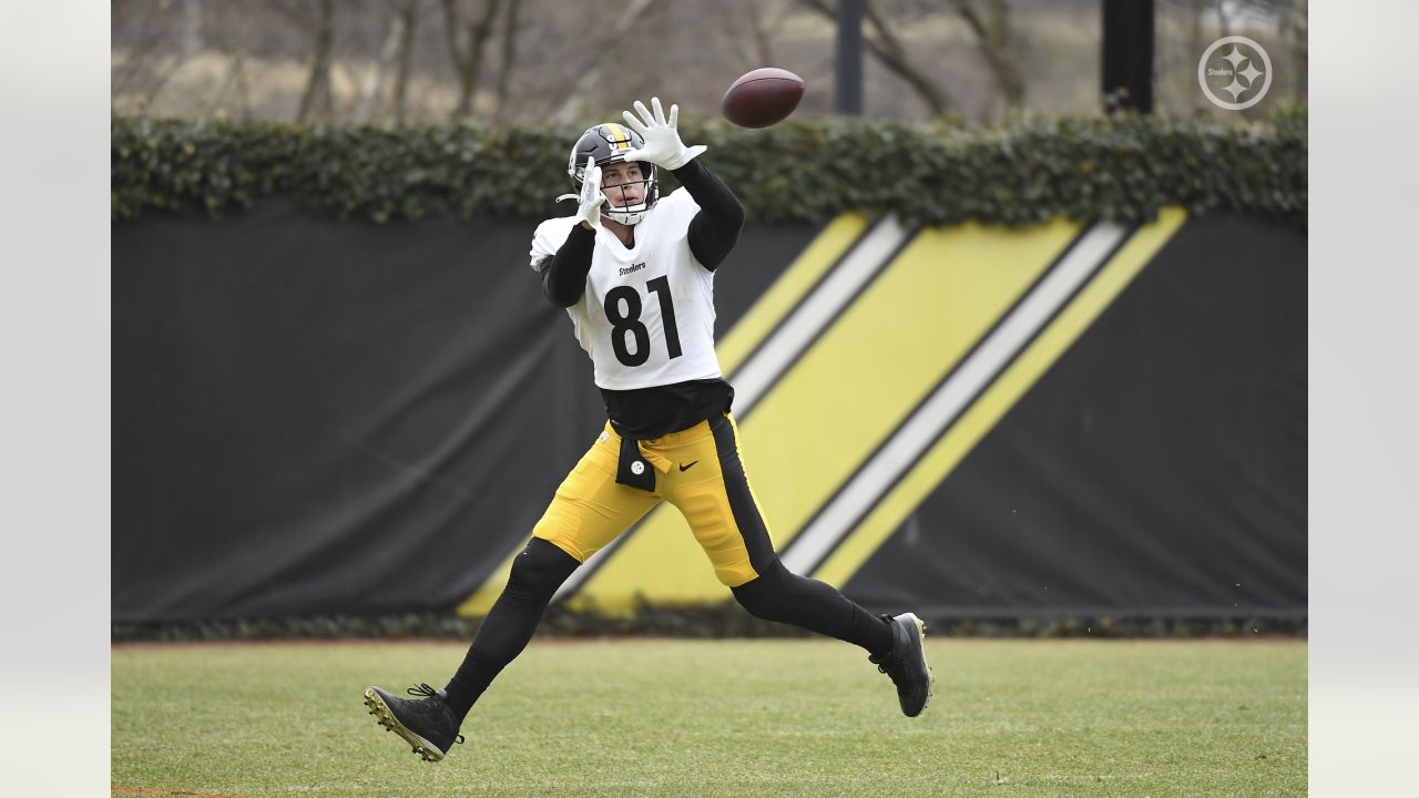 Photo: Pittsburgh Steelers Zach Gentry Against Titans