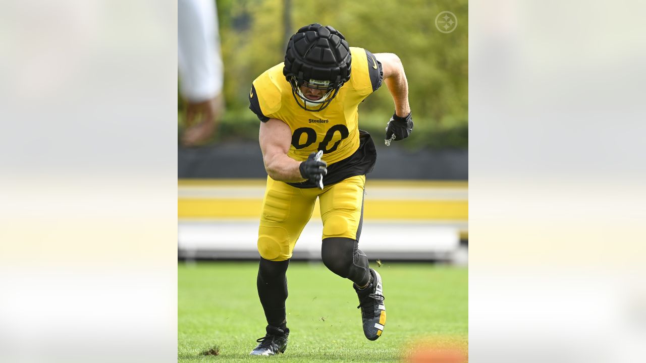 Pittsburgh Steelers' DeMarvin Leal Learned Deeper Football From T.J. Watt,  Cam Heyward While on IR - Sports Illustrated Pittsburgh Steelers News,  Analysis and More