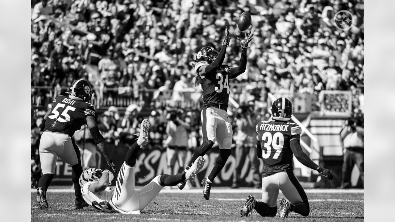 PHOTOS: Monochrome moments - Steelers at Bengals