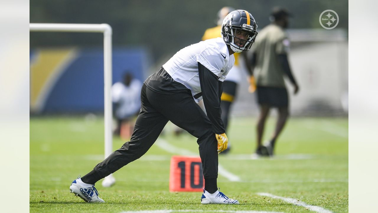 New Steelers Receiver Allen Robinson On Reconnecting With Mike