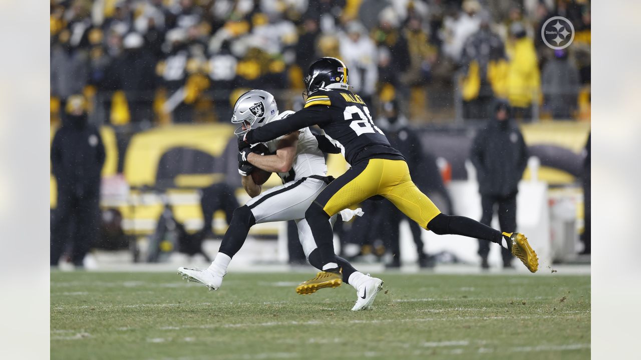 Pittsburgh, United States. 24th Dec, 2022. Pittsburgh Steelers defensive  tackle Cameron Heyward (97) celebrates of the 13-10 Steelers win against  the Las Vegas Raiders with Pittsburgh Steelers defensive tackle Larry  Ogunjobi (99)