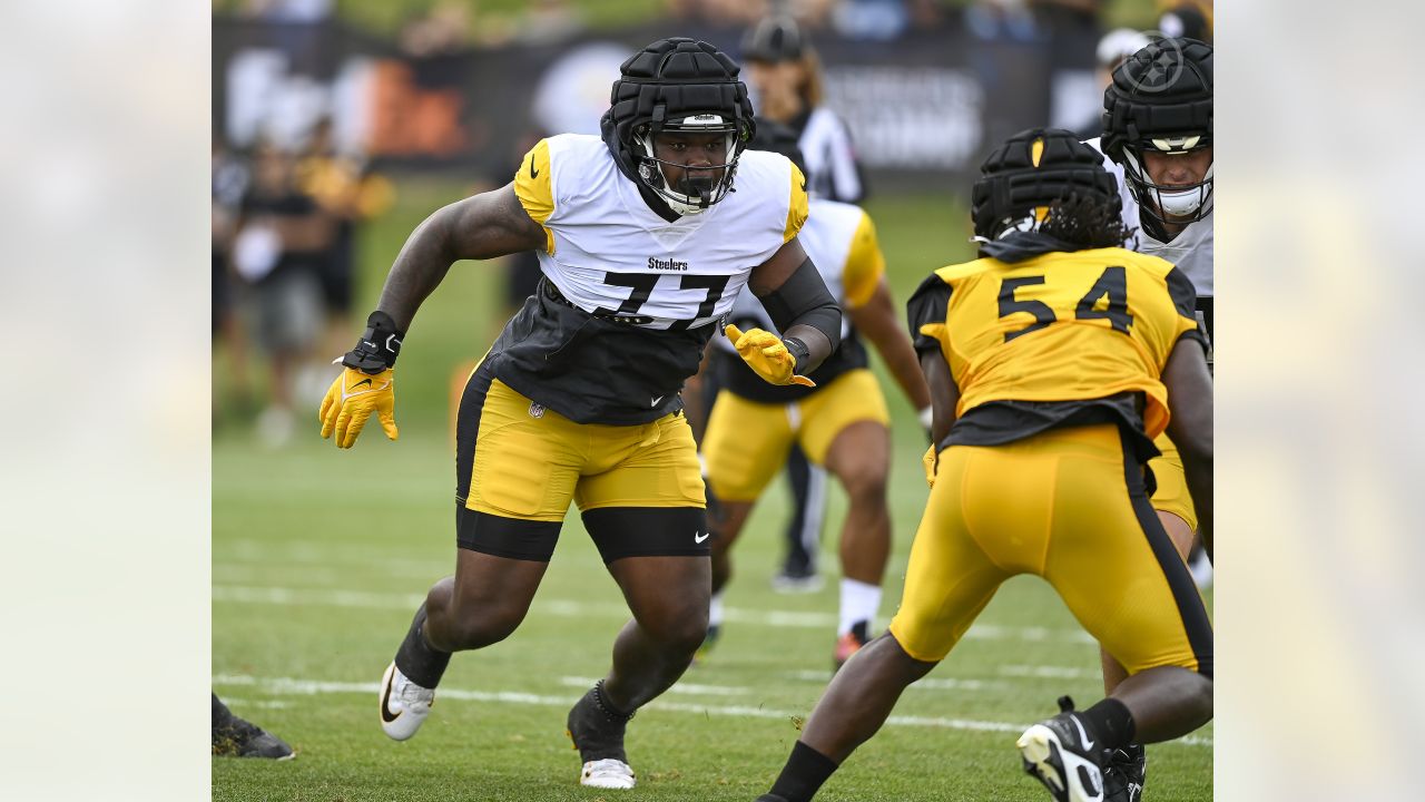 Pittsburgh Steelers helmets on the field at their NFL football training camp  in Latrobe, Pa., Saturday, Aug. 1, 2009. (AP Photo/Keith Srakocic Stock  Photo - Alamy