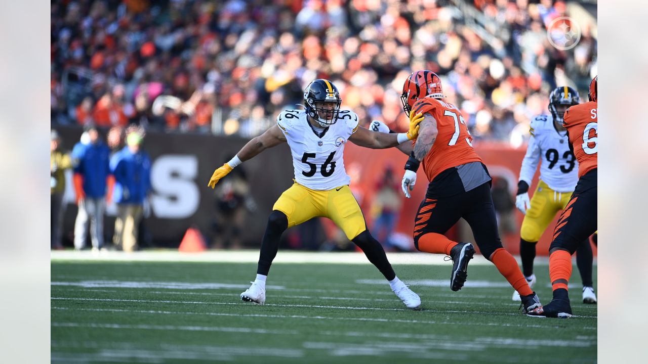 November 28, 2021: Pittsburgh Steelers outside linebacker Alex Highsmith  (56) interception attempt at the NFL football game between the Pittsburgh  Steelers and the Cincinnati Bengals at Paul Brown Stadium in Cincinnati,  Ohio.