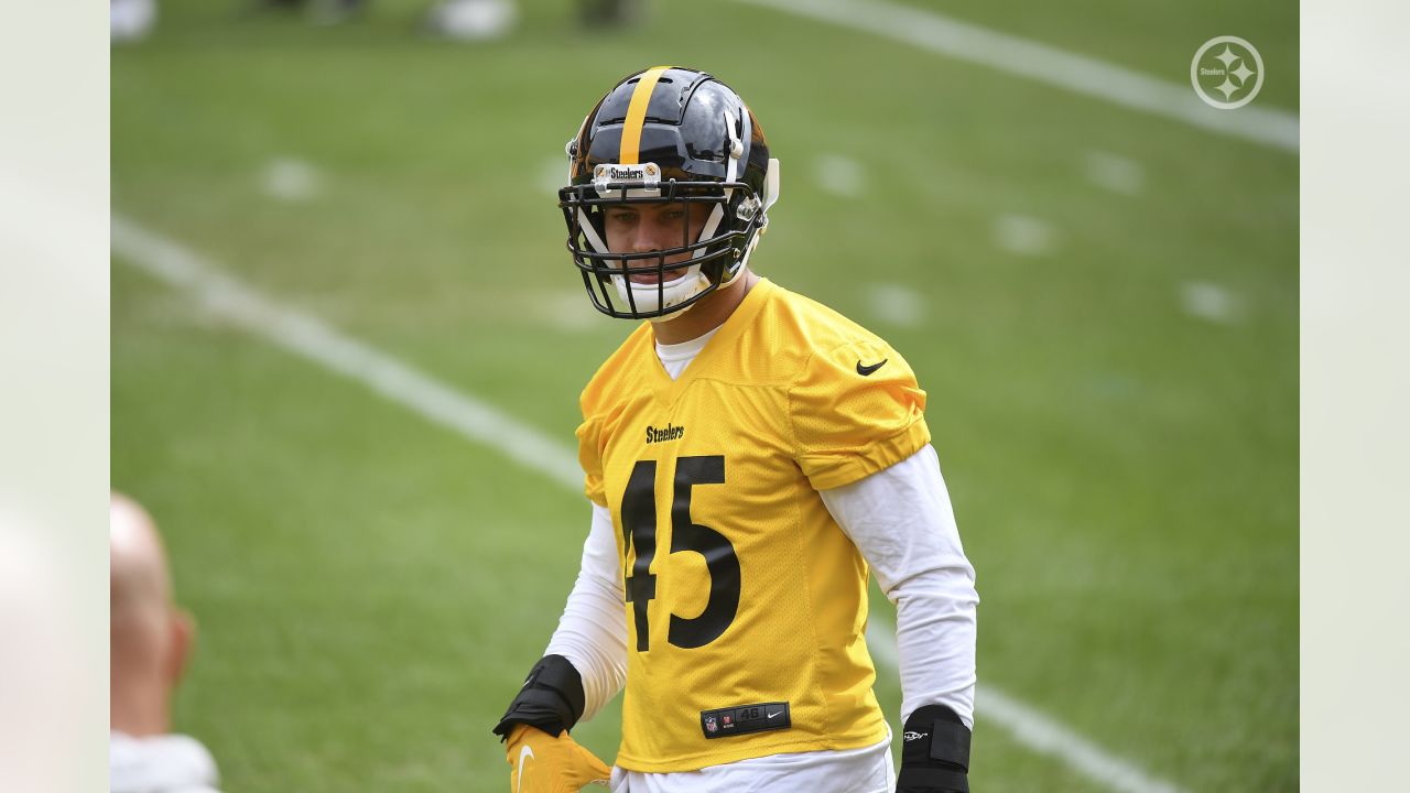 Steelers Virtual Camp Press Conference (Aug. 19): Stephon Tuitt, Benny Snell  Jr., Coach Danny Smith 