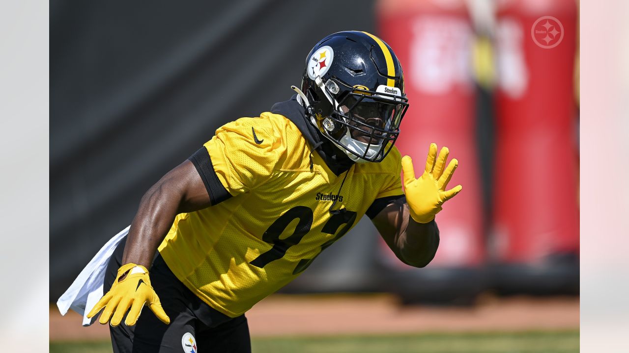 The George Pickens Show: The story behind the Steelers' freakish, viral  rookie WR - The Athletic