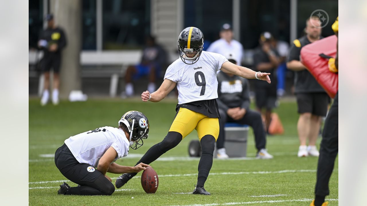 Pittsburgh Steelers claim a punter off waivers - Behind the Steel