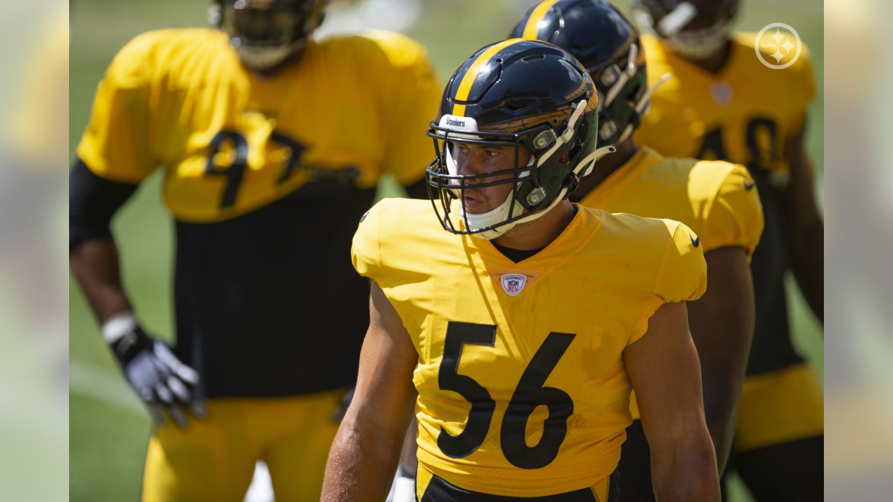 Pittsburgh Steelers tight end David Johnson (82) during an NFL training  camp football practice at Heinz Field, Sunday, Aug. 6, 2017, in Pittsburgh.  (AP Photo/Keith Srakocic Stock Photo - Alamy