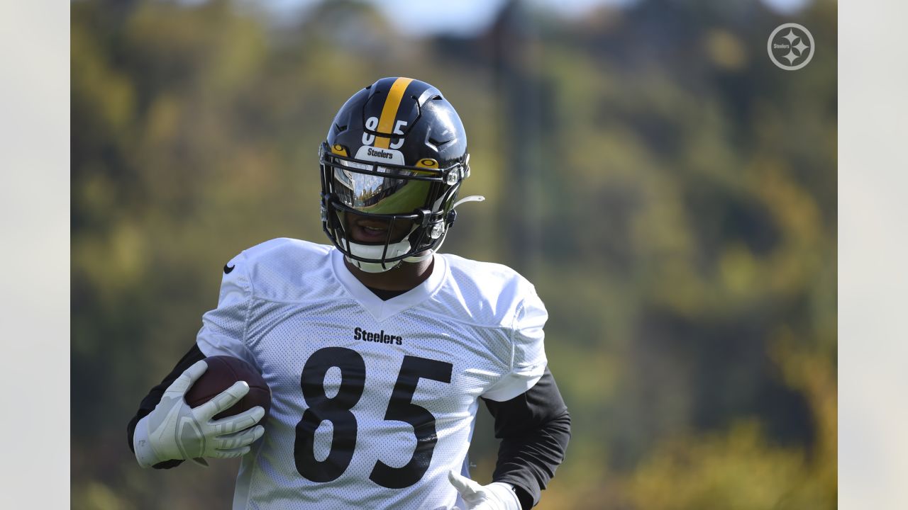 Steelers Virtual Camp Press Conference (Aug. 28): Mike Hilton, Stefen  Wisniewski 