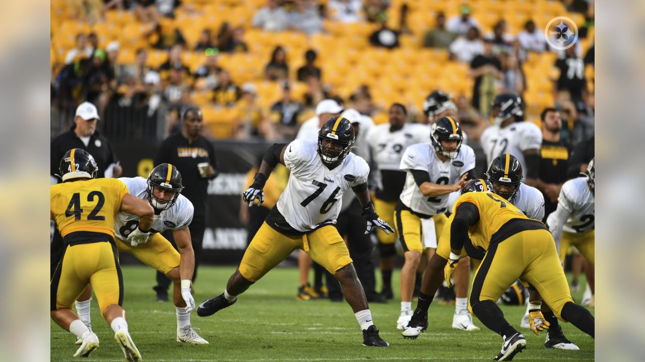 Ben Roethlisberger, T.J. Watt return to practice for 'Family Fest' at Heinz  Field