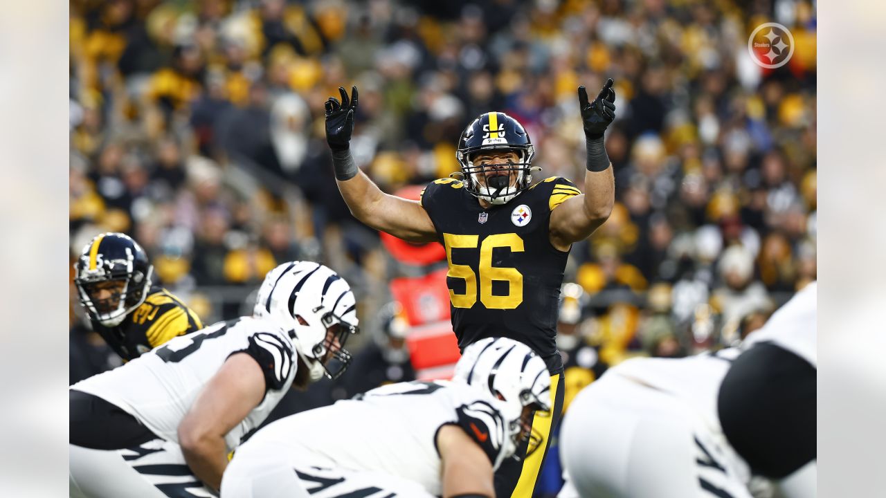 NFL Week 11 Game Recap: Cincinnati Bengals 37, Pittsburgh Steelers 30, NFL  News, Rankings and Statistics