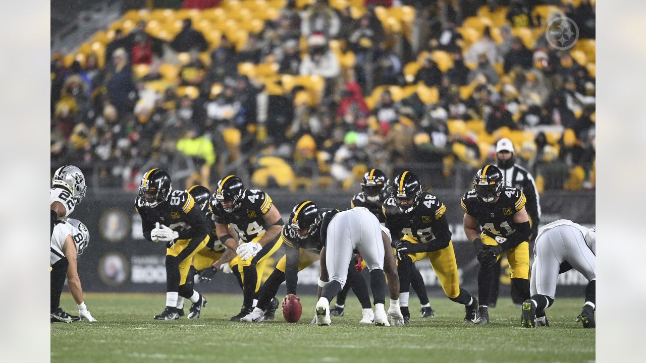 Pittsburgh, United States. 24th Dec, 2022. Pittsburgh Steelers defensive  tackle Cameron Heyward (97) celebrates of the 13-10 Steelers win against  the Las Vegas Raiders with Pittsburgh Steelers defensive tackle Larry  Ogunjobi (99)