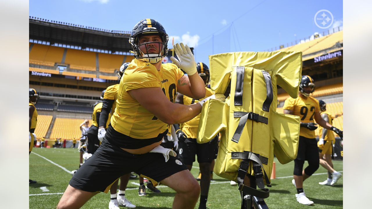 Steelers' Henry Mondeaux provides new excitement in No. 99