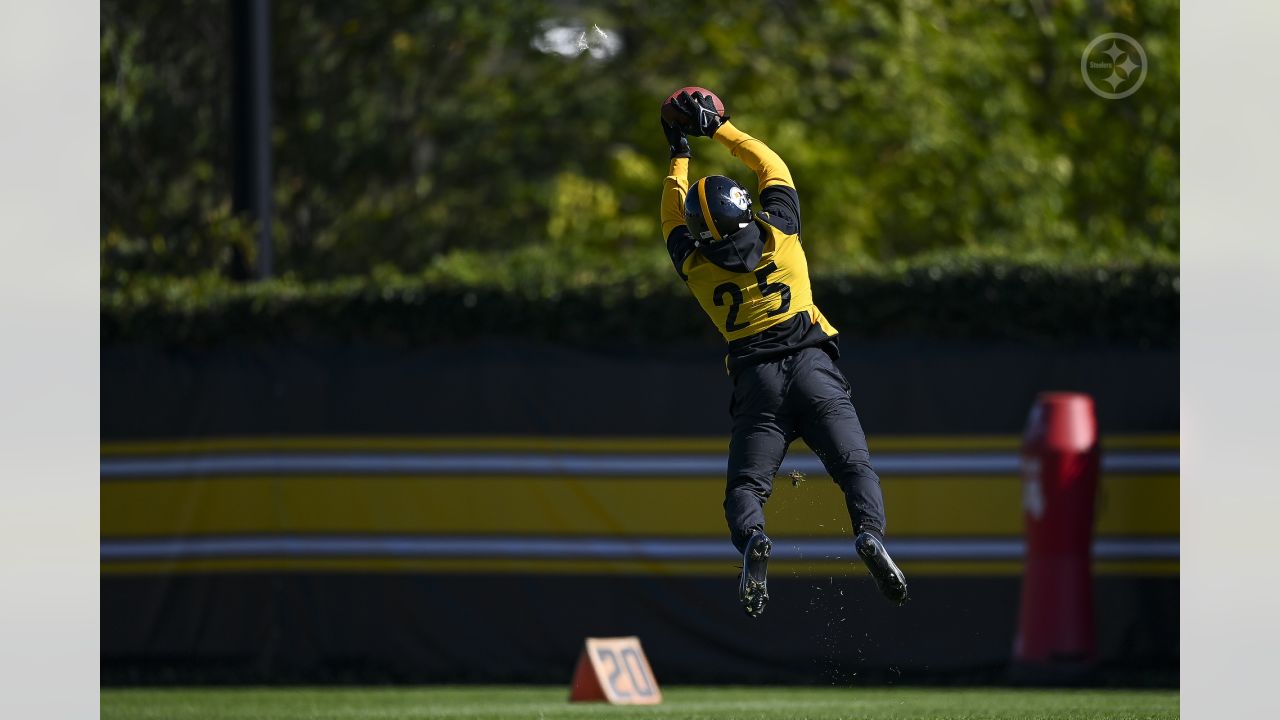 Mike Tomlin: Steelers WR Diontae Johnson (hamstring) 'probably unavailable'  vs. Browns