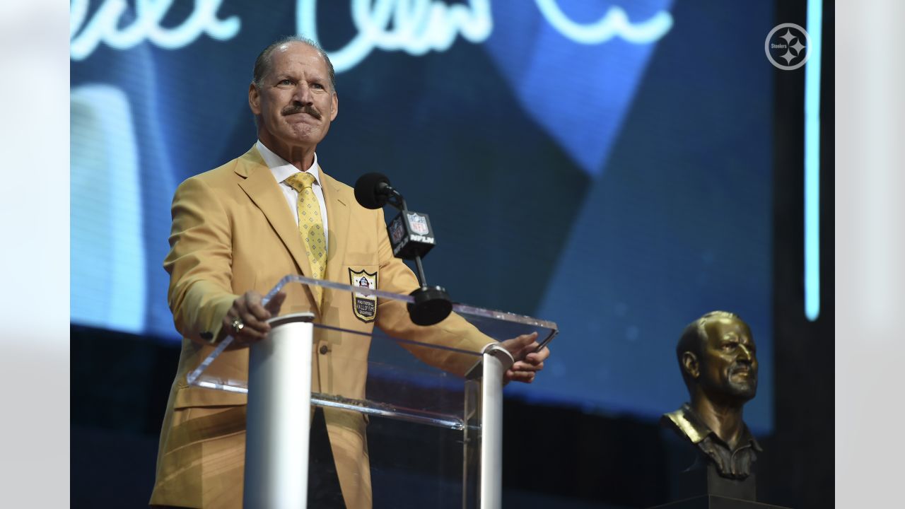 Troy Polamalu, Bill Cowher get loudest Hall of Fame Enshrinement cheer