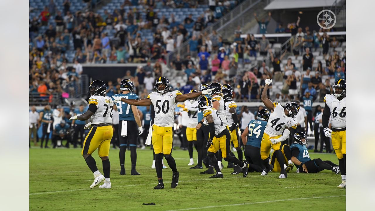 Rowdy fans fighting in the stands at Jacksonville Jaguars vs. Pittsburgh  Steelers preseason game