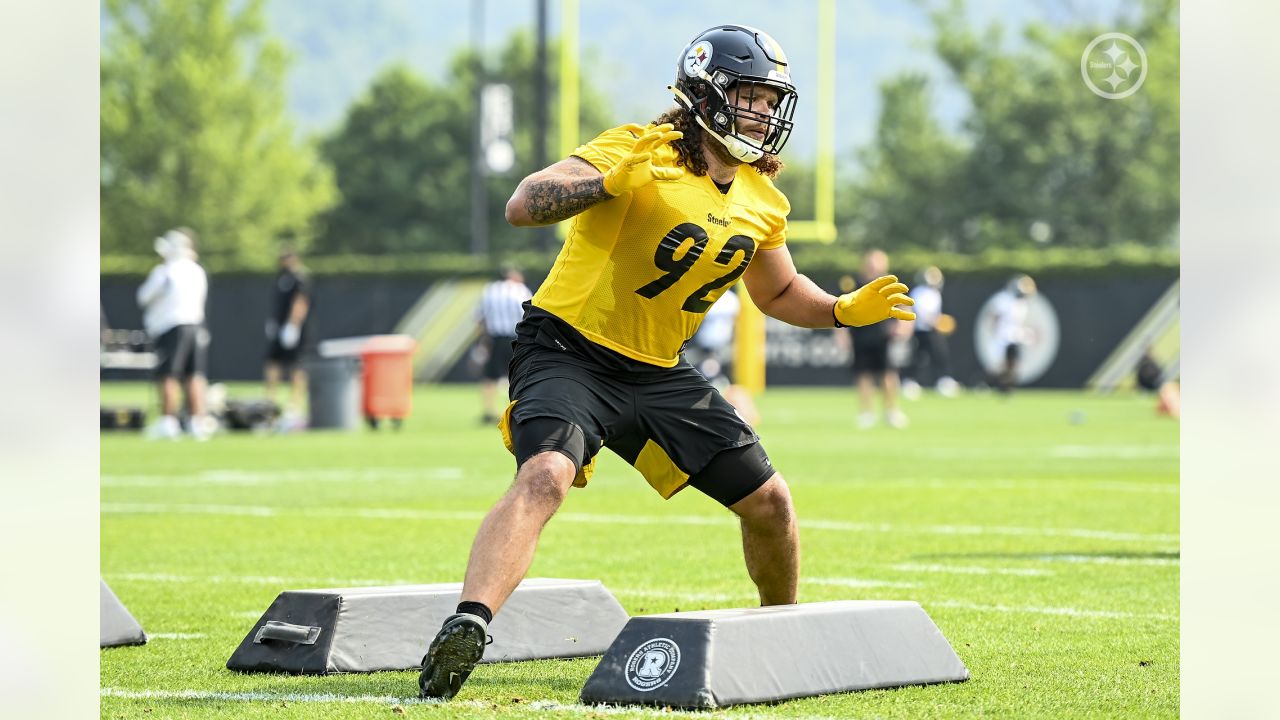 Steelers' Icon Troy Polamalu Was Intentionally Targeted By Green