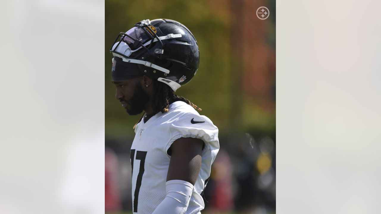 Davis, McFarland inactive in Week 13 for Steelers against the