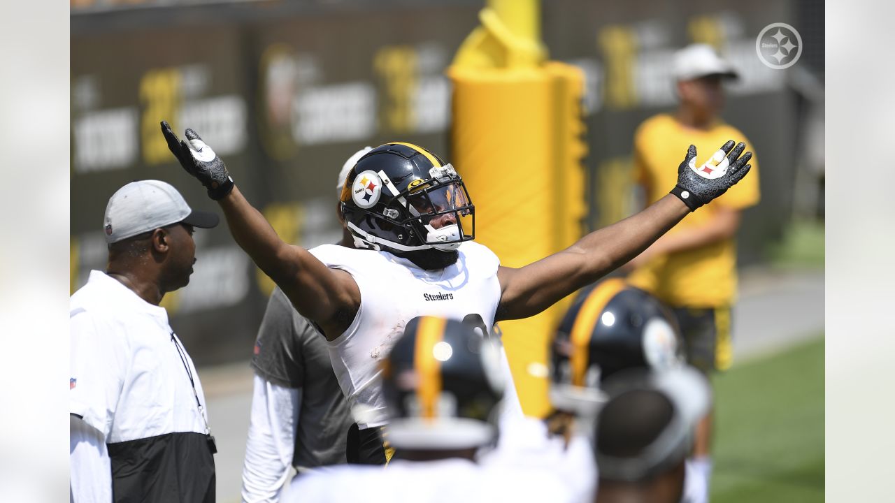 Steelers Virtual Camp Press Conference (Aug. 19): Stephon Tuitt, Benny Snell  Jr., Coach Danny Smith 