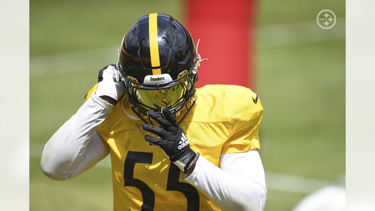 Pittsburgh Steelers inside linebacker Devin Bush (55) is tended to