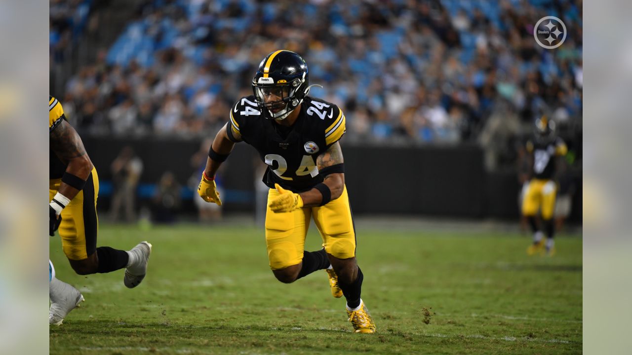 Steelers roll by Panthers 39-24 in preseason finale