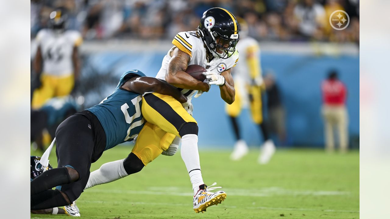 Rowdy fans fighting in the stands at Jacksonville Jaguars vs. Pittsburgh Steelers  preseason game