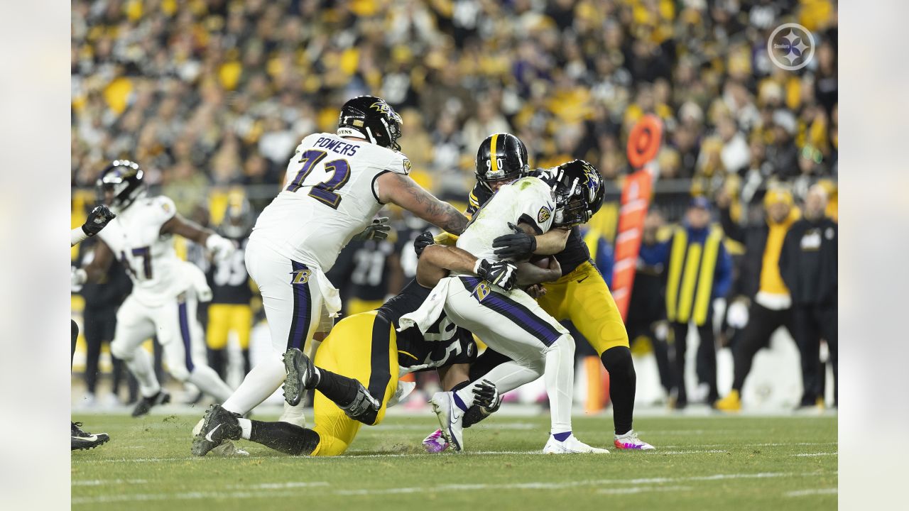 Pittsburgh Steelers defensive tackle Chris Wormley (95) stands on