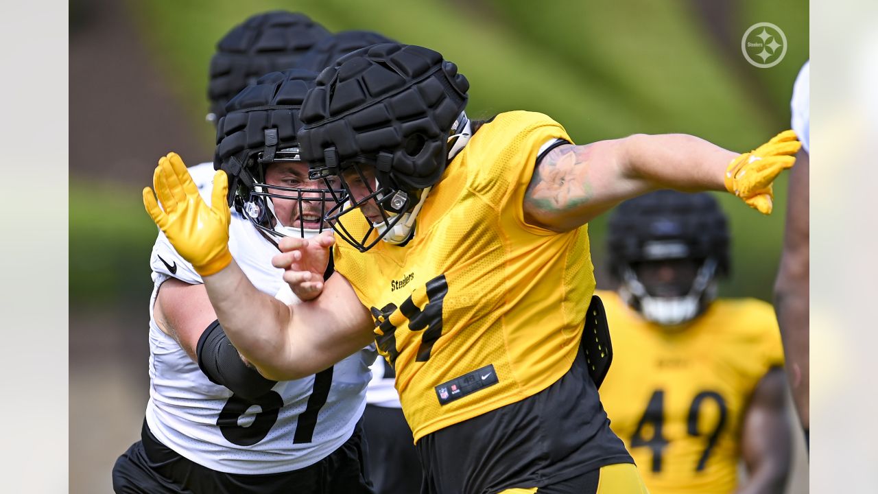 Steelers' Henry Mondeaux provides new excitement in No. 99