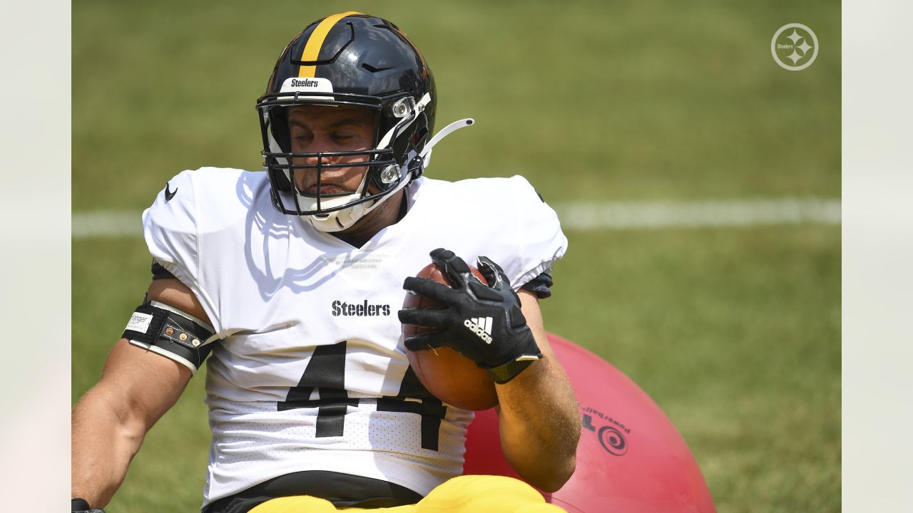 Pittsburgh Steelers' Miles Killebrew (28) in action before a pre-season NFL  football game against the Philadelphia Eagles, Thursday, Aug. 12, 2021, in  Philadelphia. (AP Photo/Rich Schultz Stock Photo - Alamy