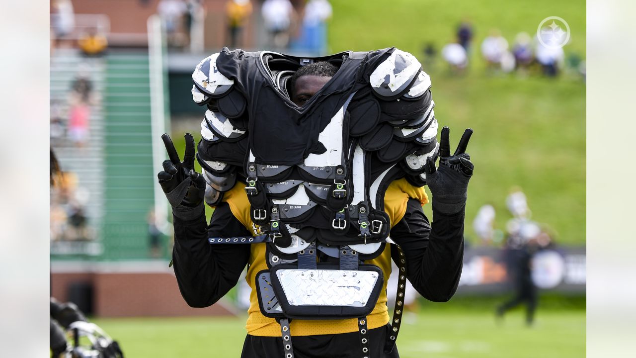 \ud83c\udfc8 It's time! Steelers report to training camp at St. Vincent ...