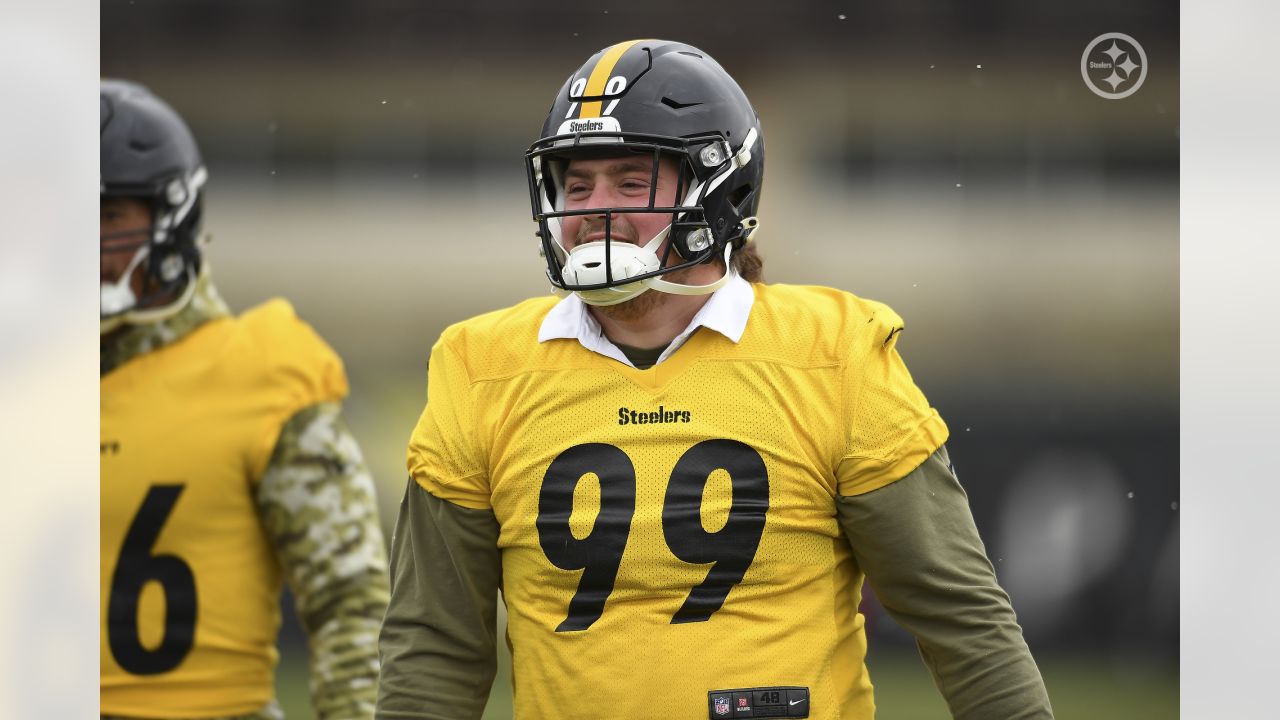 Pittsburgh Steelers' Henry Mondeaux (99) in action during a pre