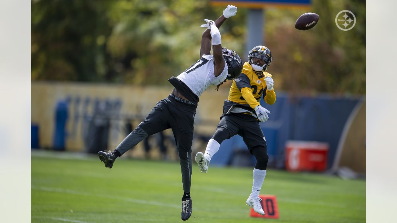 Former Steelers WR Deon Cain Not In A Rush For Next NFL