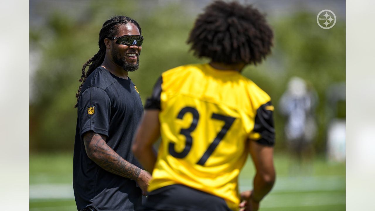 Pittsburgh Steelers running back Dri Archer (13) participates in practice  during NFL football training camp in Latrobe, Pa. on Wednesday, July 29,  2015 . (AP Photo/Keith Srakocic Stock Photo - Alamy