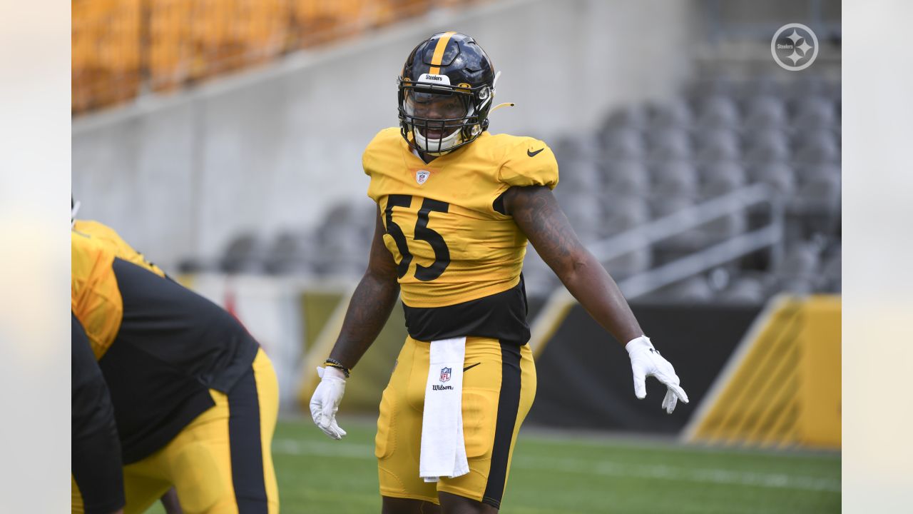 Pittsburgh Steelers fullback Derek Watt (44) during an NFL football  training camp practice, Monday, Aug. 24, 2020, in Pittsburgh. (AP  Photo/Keith Srakocic Stock Photo - Alamy