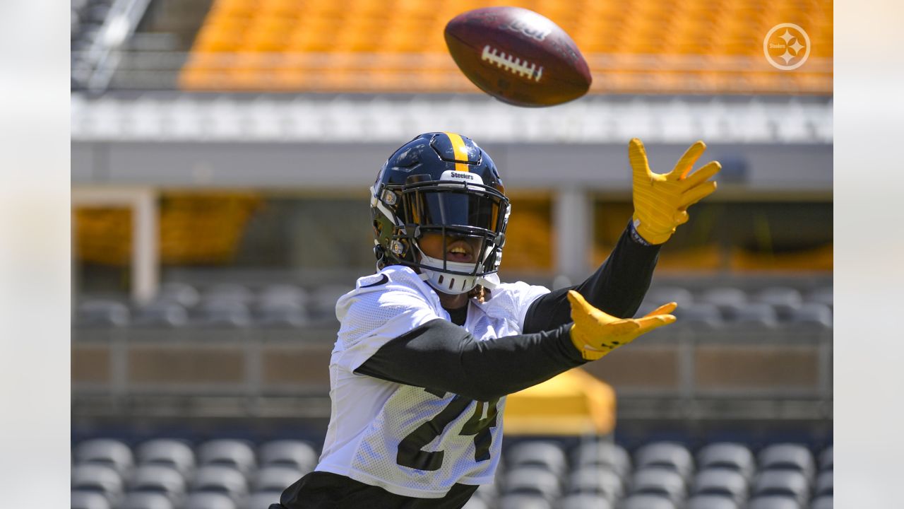 Steelers Virtual Camp Press Conference (Aug. 19): Stephon Tuitt, Benny  Snell Jr., Coach Danny Smith 