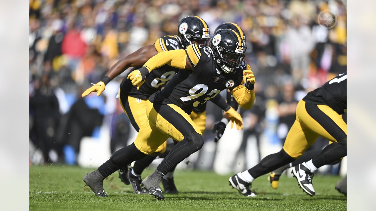 Steelers Vertex: Is Mark Robinson's potential enough to contribute? -  Behind the Steel Curtain