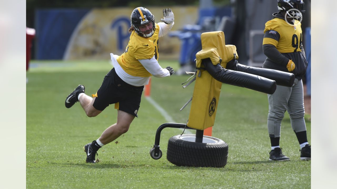 Steelers' Henry Mondeaux provides new excitement in No. 99