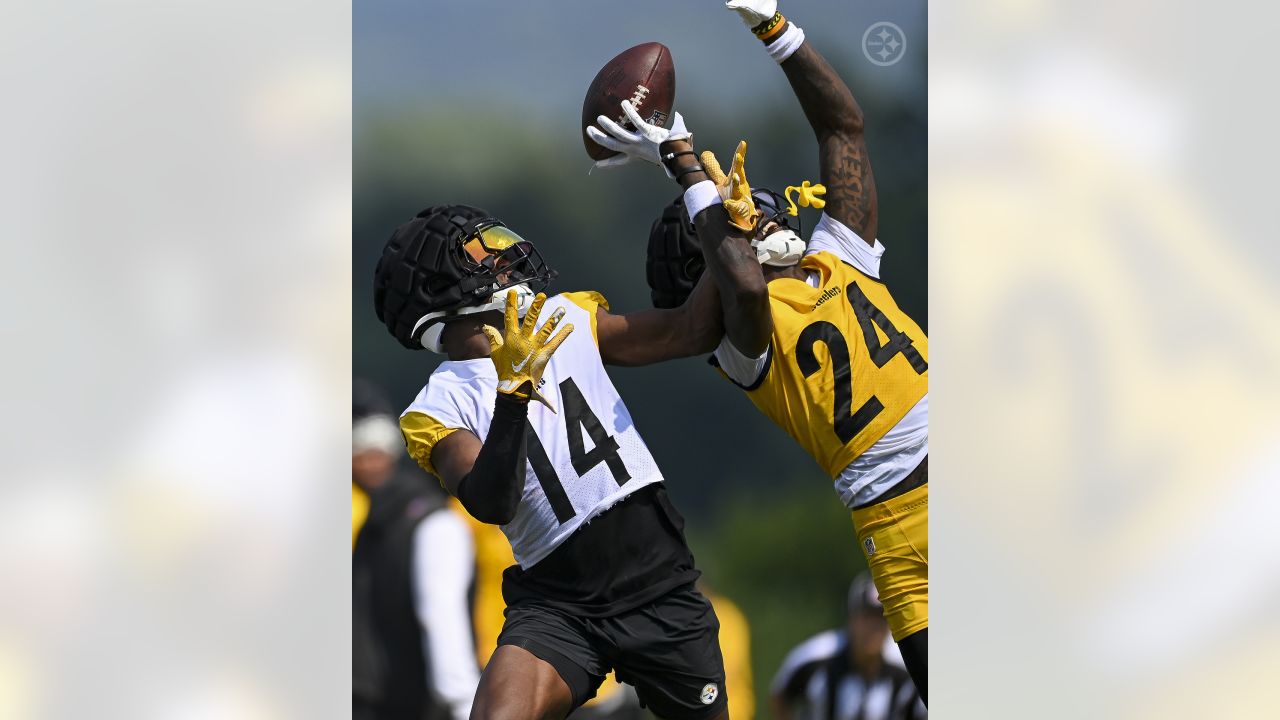 Joey Porter Jr. to Wear No. 24 in Honor of Ike Taylor - Steelers Now