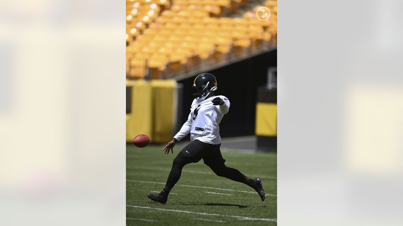 Steelers coaches praise punter Pressley Harvin III for improvement in 2nd  year