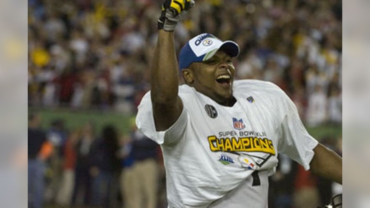 Steelers History on X: OTD in 2009, we defeated the Cardinals in