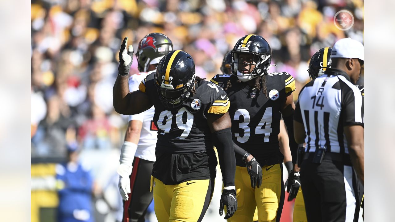 Pittsburgh Steelers defensive tackle Chris Wormley (95) reacts after a  defensive stop in the second half during an NFL football game against the  Tampa Bay Buccaneers in Pittsburgh, Sunday, Oct. 16, 2022. (