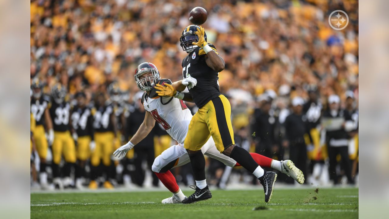 Dobbs, Rudolph lead Steelers to 30-28 win against Bucs