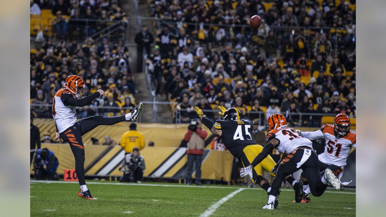 Steelers defeat Bengals, 16-13