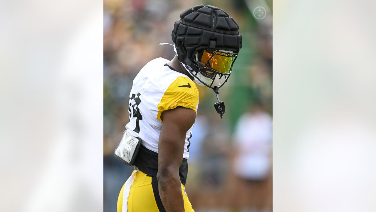 Pittsburgh Steelers helmets on the field at their NFL football training  camp in Latrobe, Pa., Saturday, Aug. 1, 2009. (AP Photo/Keith Srakocic  Stock Photo - Alamy